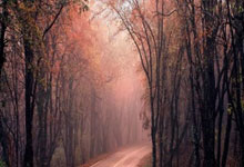 摩尔多瓦客场不敌法国，遭遇困难