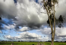 新赛季首战，双方实力对比让人期待