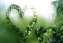 多特蒙德赞助商换帅：新能量引领升级