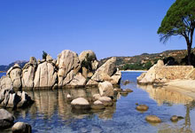 挪威大胜白俄罗斯，逐渐找回状态备战下一轮